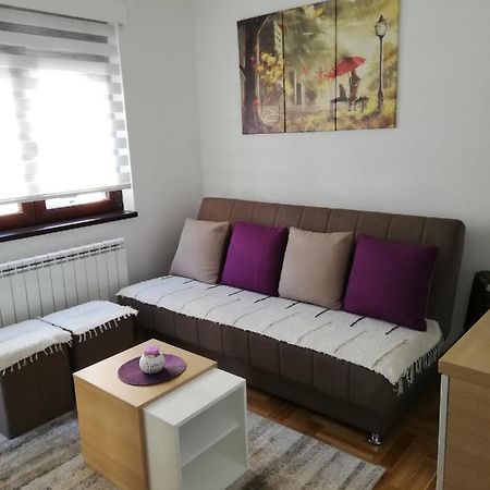 Apartman Milosevic Zlatibor Esterno foto